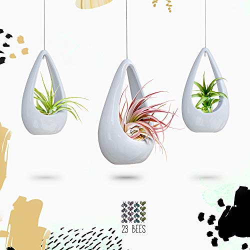 23 Bees, Hanging Air Plant Holder, White Hanger Ceramic Planter, S...