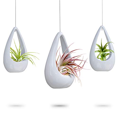 23 Bees, Hanging Air Plant Holder, White Hanger Ceramic Planter, S...