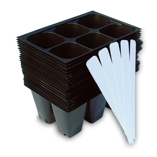 9GreenBox - Seedling Starter Trays, 144 Cells: 24 Trays; 6-cells ...