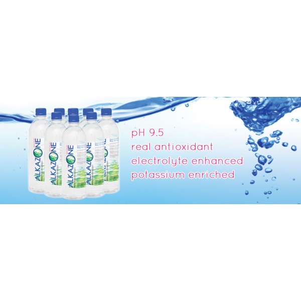AlkaZone Antioxidant Water 24 OZ - 24 Pack