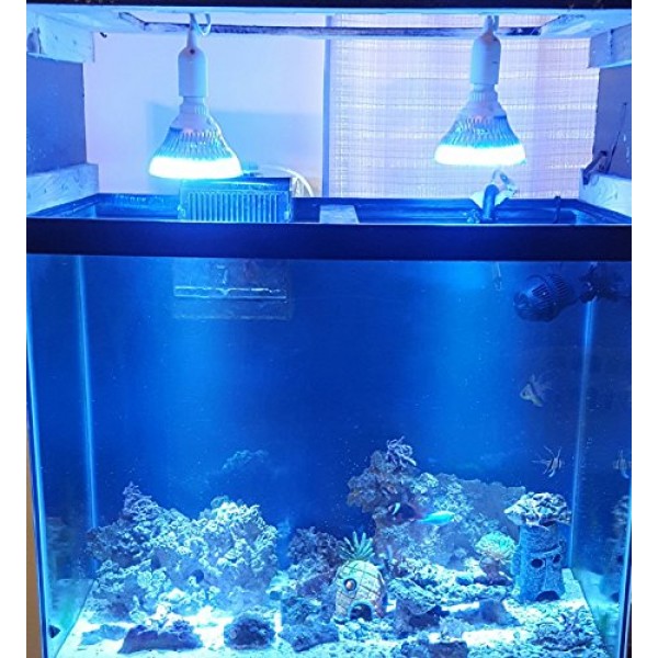 ABI LED Aquarium Light Bulb, 12W Royal Blue 450nm + Cold White 10...