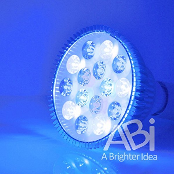 ABI LED Aquarium Light Bulb, 12W Royal Blue 450nm + Cold White 10...