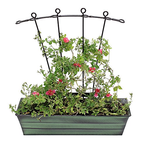 Achla Designs C-08 Small, Green Galvanized Steel Window Flower Box