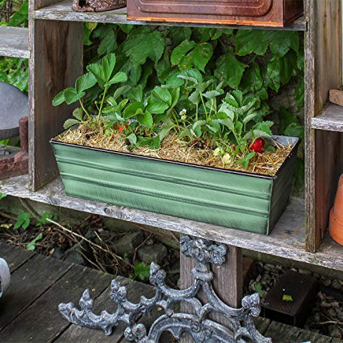 Achla Designs C-08 Small, Green Galvanized Steel Window Flower Box