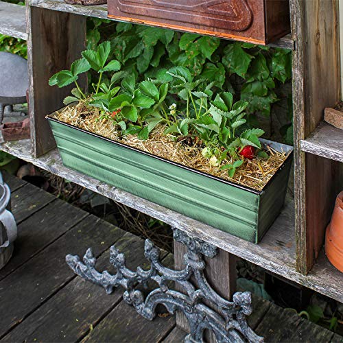 Achla Designs C-08 Small, Green Galvanized Steel Window Flower Box