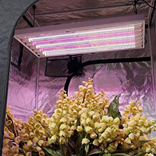 Active Grow T8/T12 High Output 4FT LED Grow Light Tube for Floweri...
