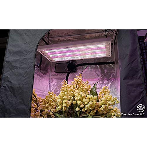 Active Grow T8/T12 High Output 4FT LED Grow Light Tube for Floweri...