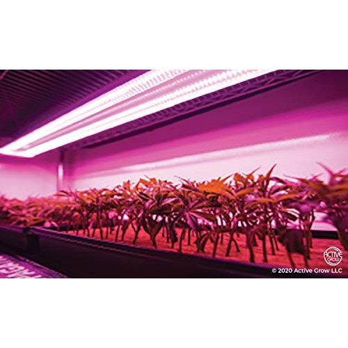 Active Grow T8/T12 High Output 4FT LED Grow Light Tube for Floweri...