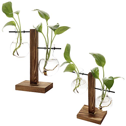 Stand Glass Planter Bulb Vase,ADSRO Glass Flowerpot with Vintage W...