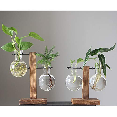 Stand Glass Planter Bulb Vase,ADSRO Glass Flowerpot with Vintage W...