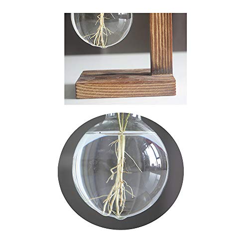 Stand Glass Planter Bulb Vase,ADSRO Glass Flowerpot with Vintage W...