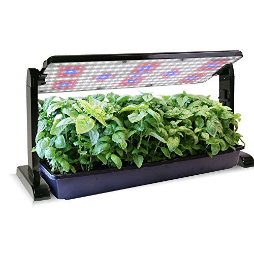 AeroGarden 45w LED Grow Light Panel, Black & Sponges 50-Pack