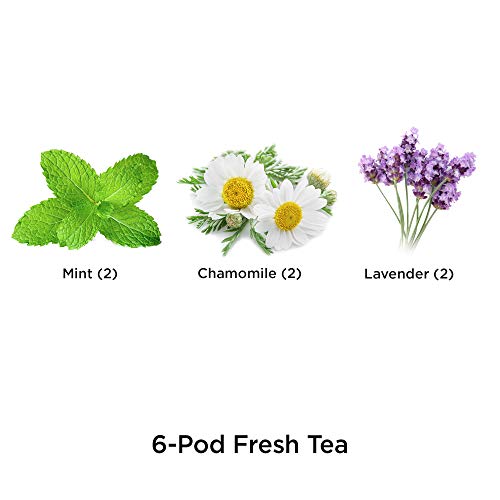AeroGarden Fresh Tea Seed Pod Kit, 6