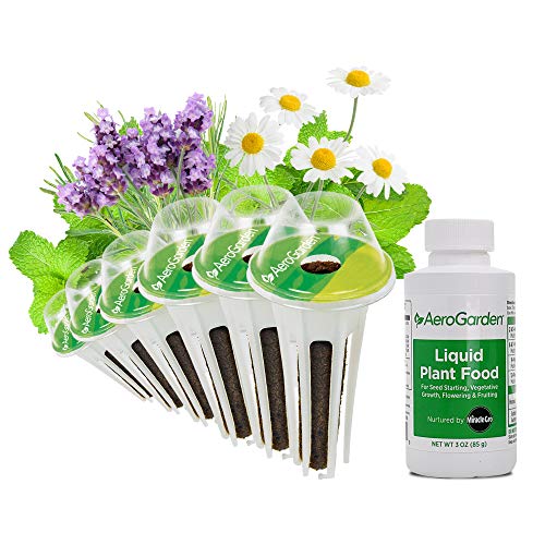 AeroGarden Fresh Tea Seed Pod Kit, 6