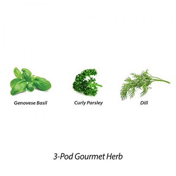 AeroGarden Gourmet Herb Seed Pod Kit 3 pod