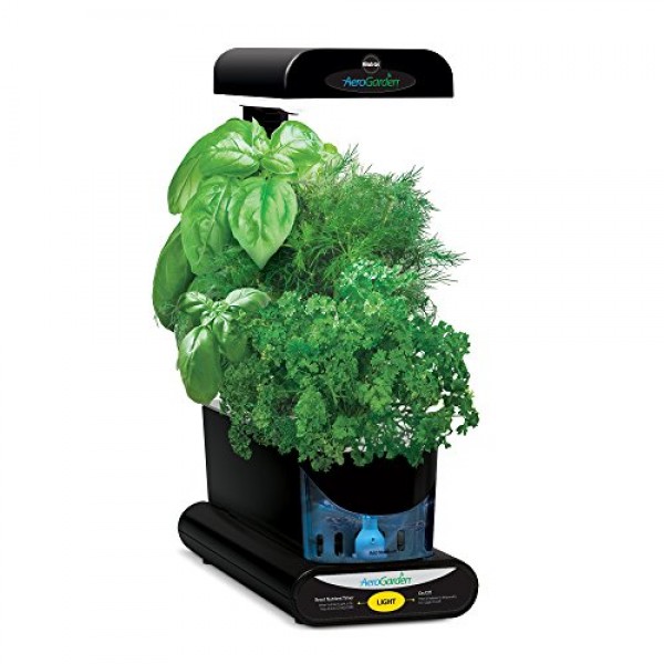 AeroGarden Sprout with Gourmet Herb Seed Pod Kit, Black