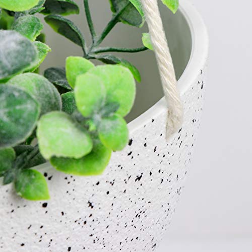 AerWo 2 Pack Hanging Planters for Indoor Plants, 8 Inch Hanging Po...