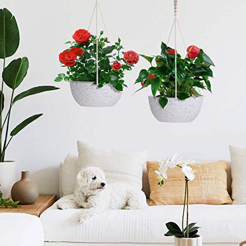 AerWo 2 Pack Hanging Planters for Indoor Plants, 8 Inch Hanging Po...
