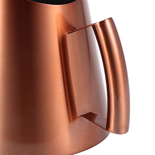 Agatige Metal Watering Can, Large Plant Watering Can Water Can wit...