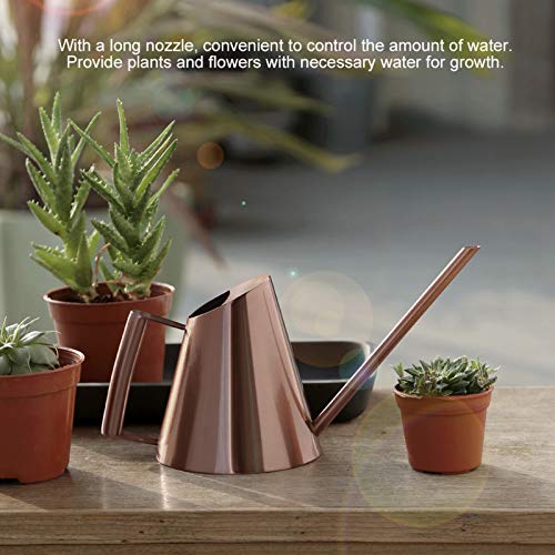 Agatige Metal Watering Can, Large Plant Watering Can Water Can wit...