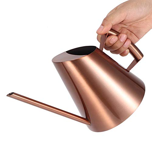 Agatige Metal Watering Can, Large Plant Watering Can Water Can wit...
