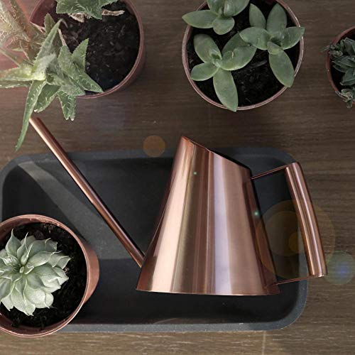 Agatige Metal Watering Can, Large Plant Watering Can Water Can wit...