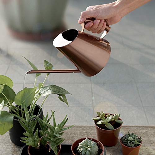 Agatige Metal Watering Can, Large Plant Watering Can Water Can wit...
