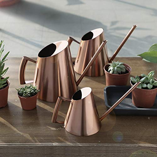 Agatige Metal Watering Can, Large Plant Watering Can Water Can wit...