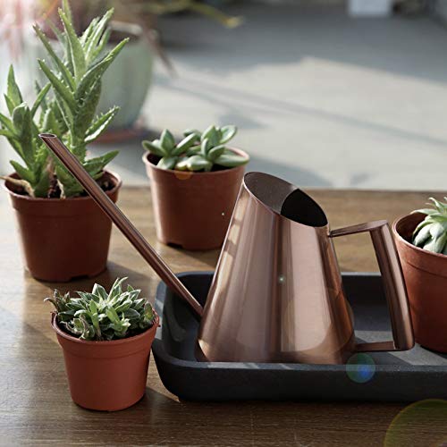 Agatige Metal Watering Can, Large Plant Watering Can Water Can wit...