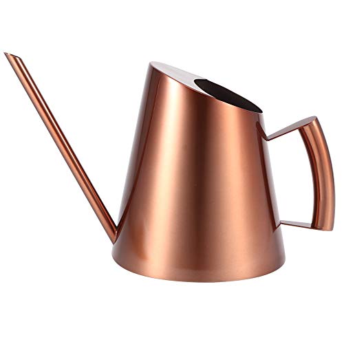 Agatige Metal Watering Can, Large Plant Watering Can Water Can wit...