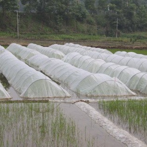 Agfabric Bug Net Garden Netting against Insects Birds Mosquito Bar...