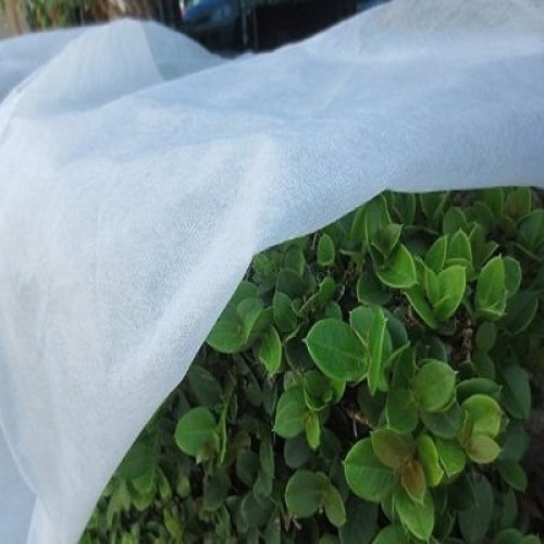 Agfabric Warm Worth Roll Heavy Floating Row Cover & Plant Blanket,...