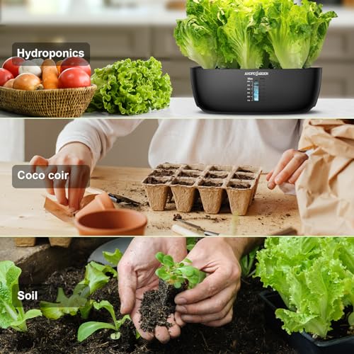 Lettuce Non GMO, Including Rouge dHiver, Dark Green Cos, Black Se...