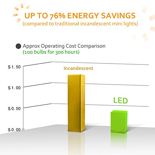 AIDDOMM LED Christmas Lights 100 Counts, for Outdoor and Indoor, C...