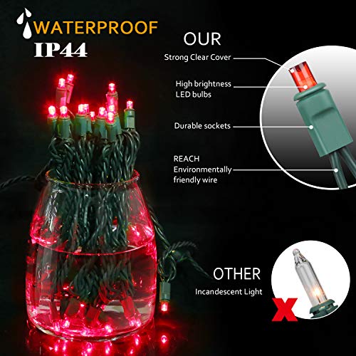 AIDDOMM LED Christmas Lights 100 Counts, for Outdoor and Indoor, C...