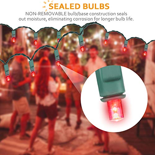 AIDDOMM LED Christmas Lights 100 Counts, for Outdoor and Indoor, C...