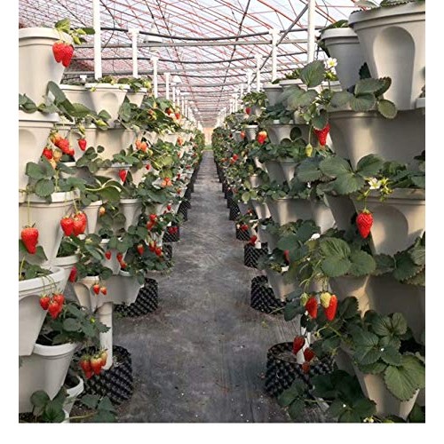3 Petals 6 Tiered Vertical Gardening Planter Stackable Flower Pot ...