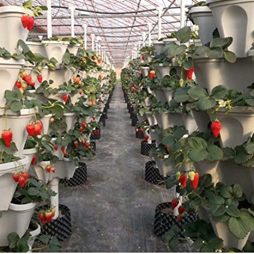 3 Petals 6 Tiered Vertical Gardening Planter Stackable Flower Pot ...