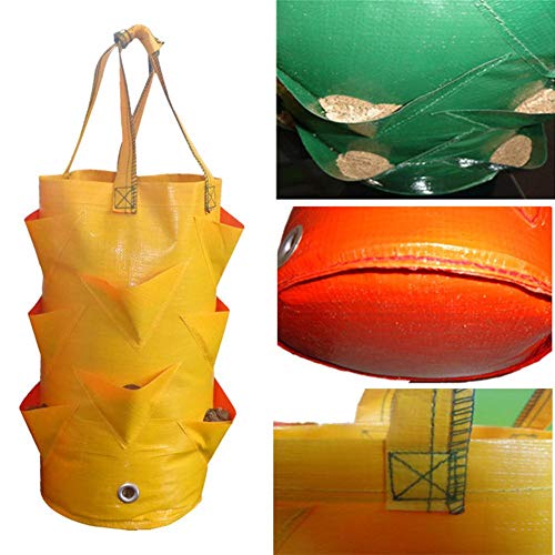 Alacritua Grow Bag Hanging Strawberry Planter,Strawberry Bare Root...