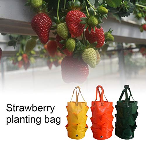 Alacritua Grow Bag Hanging Strawberry Planter,Strawberry Bare Root...