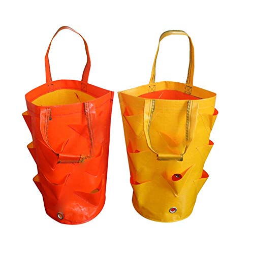 Alacritua Grow Bag Hanging Strawberry Planter,Strawberry Bare Root...