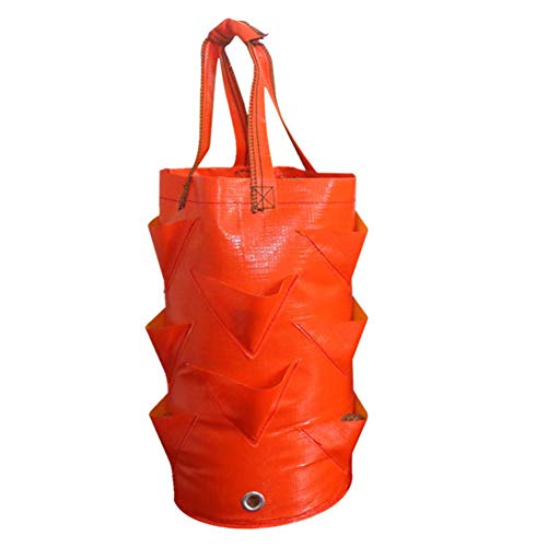 Alacritua Grow Bag Hanging Strawberry Planter,Strawberry Bare Root...