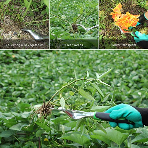 Aladom Known Vegetable Herb, Outdoor Gifts for Men Women Set 10 Pi...
