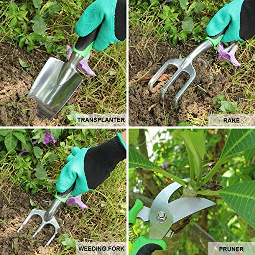 Aladom Known Vegetable Herb, Outdoor Gifts for Men Women Set 10 Pi...