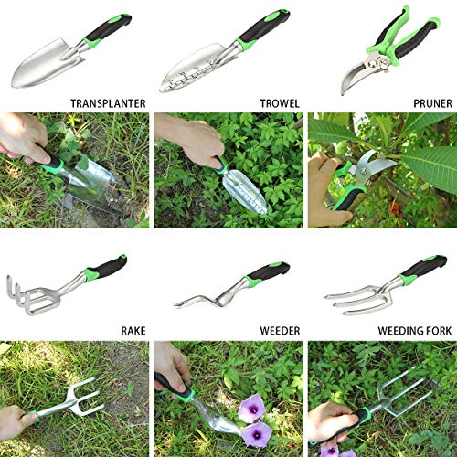 Aladom Known Vegetable Herb, Outdoor Gifts for Men Women Set 10 Pi...