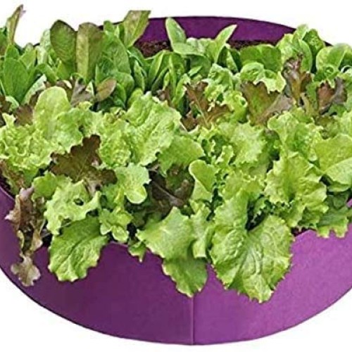 Alilyol Large Raised Garden Bed Plant Grow Bag, 15/50/100 Gallon G...