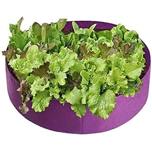 Alilyol Large Raised Garden Bed Plant Grow Bag, 15/50/100 Gallon G...