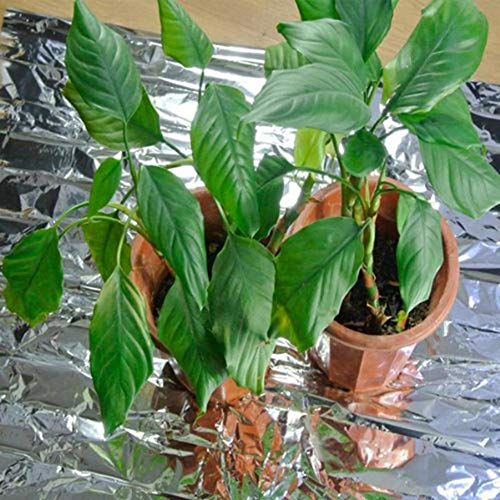 10 Pack Silver Reflective Mylar Film Sheets Alimtee Garden Greenho...