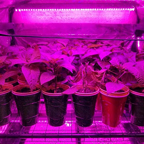 10 Pack Silver Reflective Mylar Film Sheets Alimtee Garden Greenho...