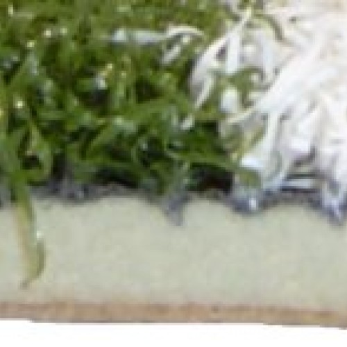 All Turf Mats The Elite Softball Pitching Mat - PB36120GREEN 3 x ...